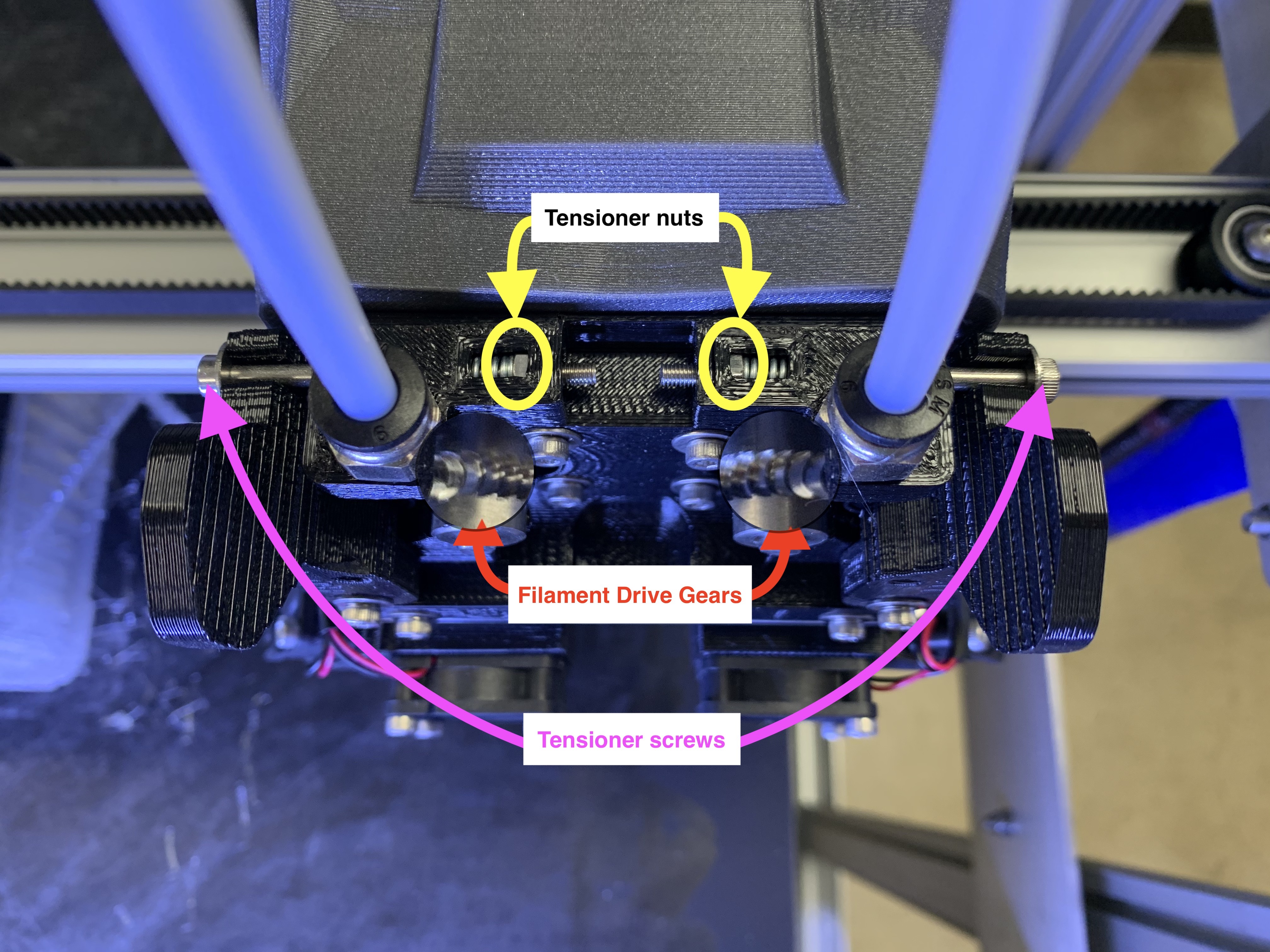 Extruder_body_anatomy__top_.jpg